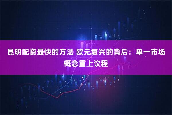 昆明配资最快的方法 欧元复兴的背后：单一市场概念重上议程